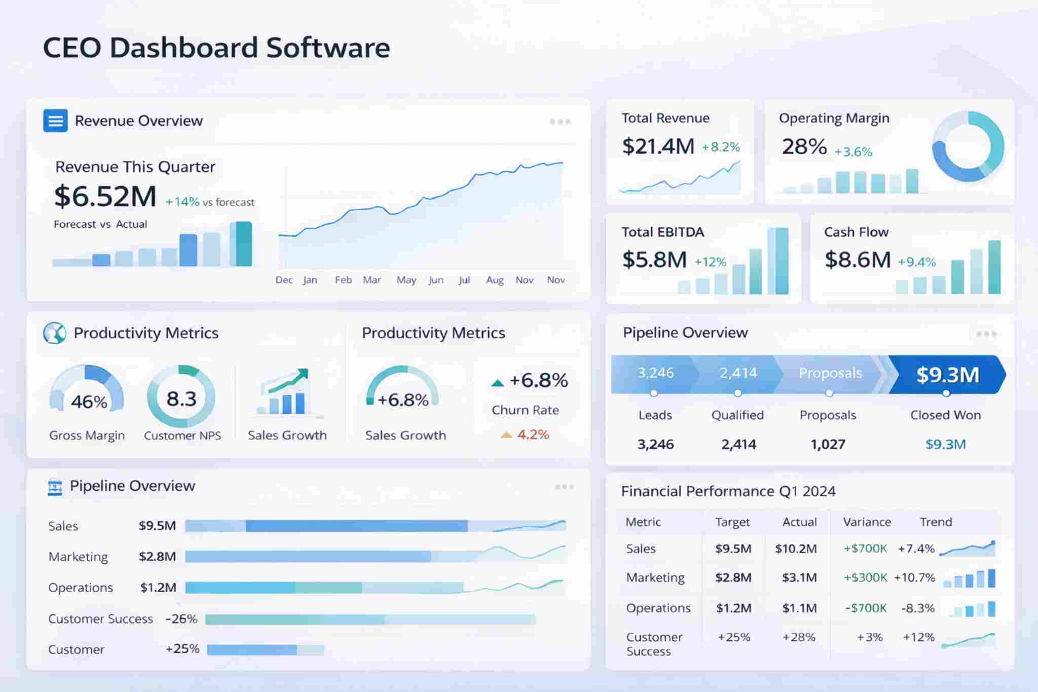 CEO Dashboard Software Dashboard